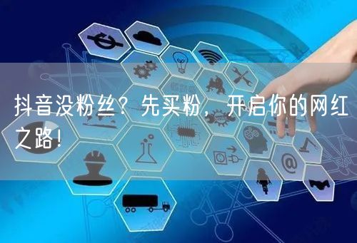抖音没粉丝？先买粉，开启你的网红之路！