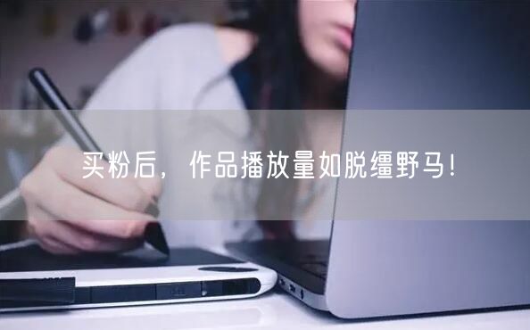 买粉后，作品播放量如脱缰野马！