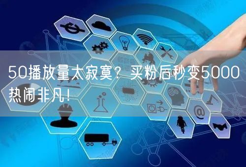 50播放量太寂寞？买粉后秒变5000热闹非凡！
