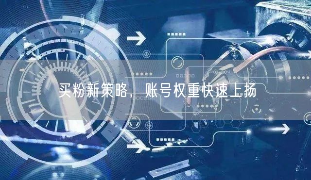 买粉新策略，账号权重快速上扬