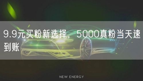 9.9元买粉新选择，5000真粉当天速到账