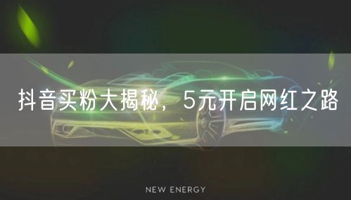 抖音买粉大揭秘，5元开启网红之路
