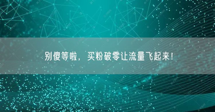 别傻等啦，买粉破零让流量飞起来！