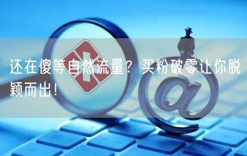 还在傻等自然流量？买粉破零让你脱颖而出！