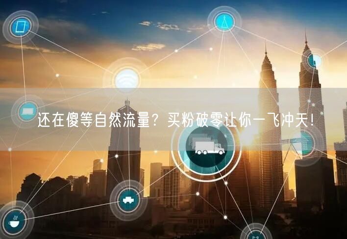 还在傻等自然流量？买粉破零让你一飞冲天！