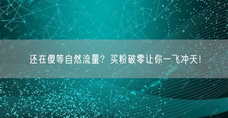 还在傻等自然流量？买粉破零让你一飞冲天！