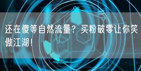还在傻等自然流量？买粉破零让你笑傲江湖！