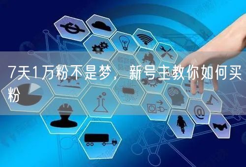 7天1万粉不是梦，新号主教你如何买粉