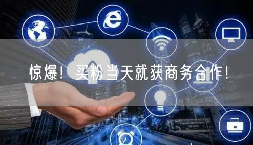惊爆！买粉当天就获商务合作！