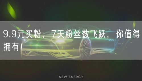 9.9元买粉，7天粉丝数飞跃，你值得拥有！