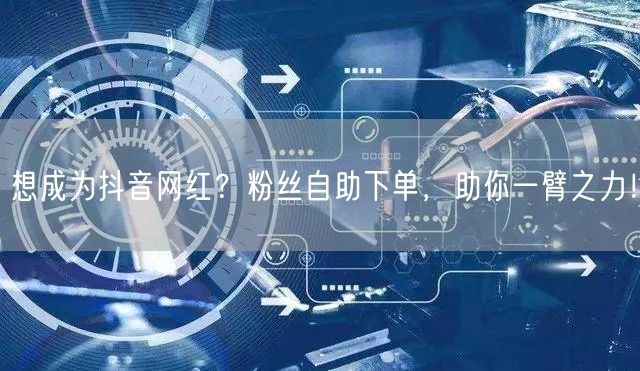 想成为抖音网红？粉丝自助下单，助你一臂之力！