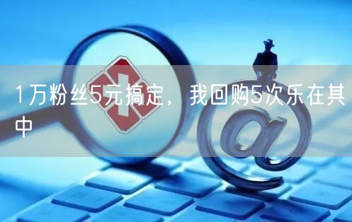 1万粉丝5元搞定，我回购5次乐在其中