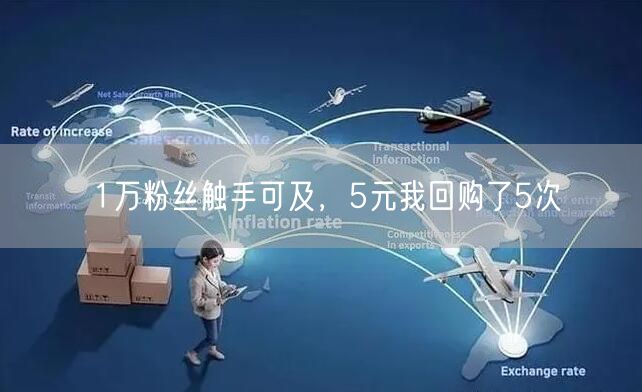 1万粉丝触手可及，5元我回购了5次