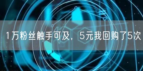 1万粉丝触手可及，5元我回购了5次
