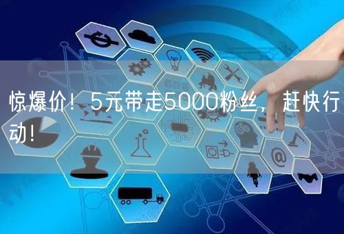 惊爆价！5元带走5000粉丝，赶快行动！