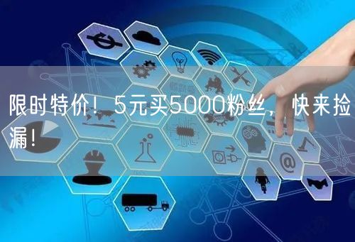 限时特价！5元买5000粉丝，快来捡漏！