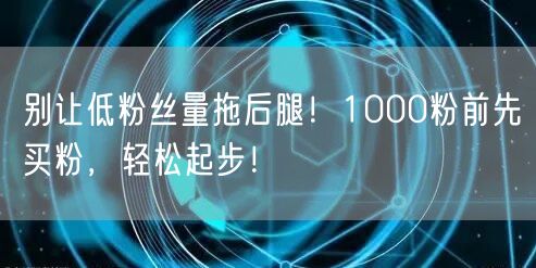 别让低粉丝量拖后腿！1000粉前先买粉，