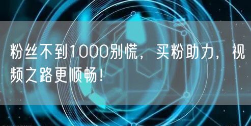 粉丝不到1000别慌，买粉助力，视频之路更顺畅！
