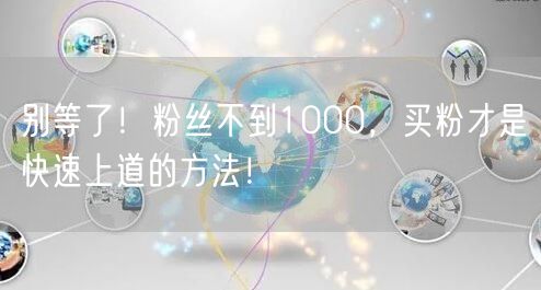 别等了！粉丝不到1000，买粉才是快速上道的方法！