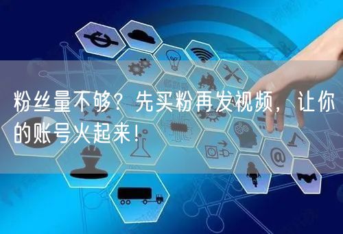 粉丝量不够？先买粉再发视频，让你的账号火起来！