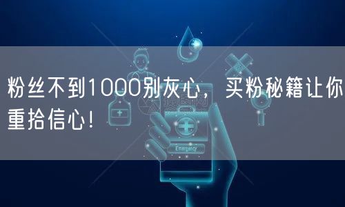 粉丝不到1000别灰心，买粉秘籍让你重拾信心！
