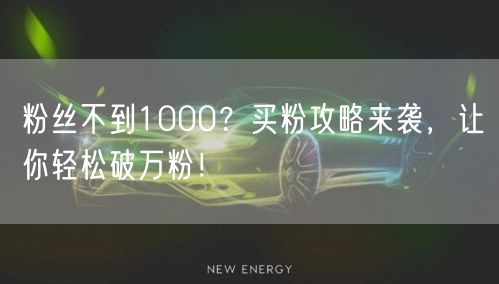 粉丝不到1000？买粉攻略来袭，让你轻松破万粉！