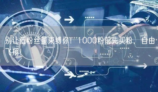 别让低粉丝量束缚你！1000粉前先买粉，自由飞翔！