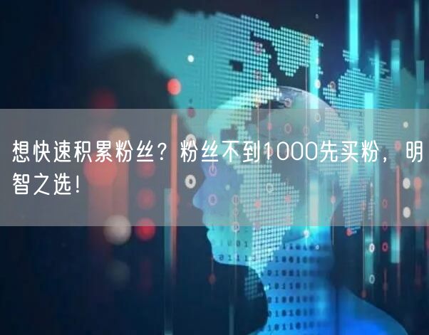 想快速积累粉丝？粉丝不到1000先买粉，明智之选！