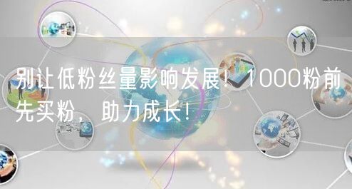 别让低粉丝量影响发展！1000粉前先买粉，助力成长！