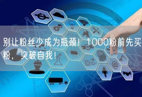 别让粉丝少成为瓶颈！1000粉前先买粉，突破自我！