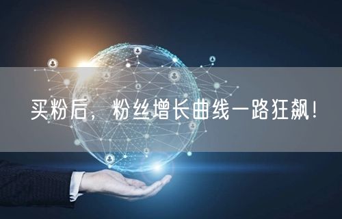 买粉后，粉丝增长曲线一路狂飙！