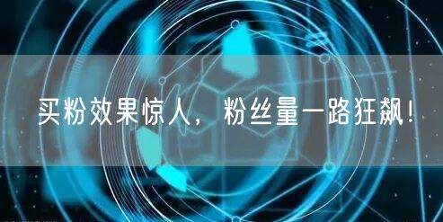 买粉效果惊人，粉丝量一路狂飙！