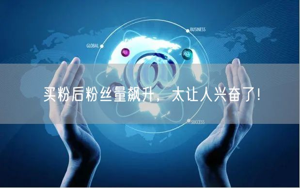 买粉后粉丝量飙升，太让人兴奋了！