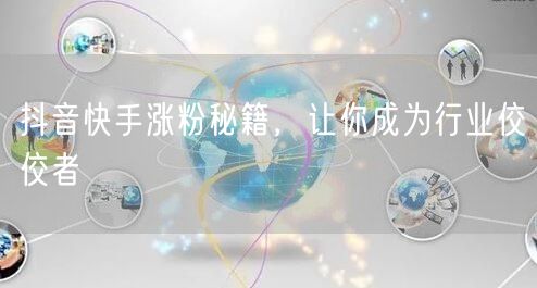 抖音快手涨粉秘籍，让你成为行业佼佼者