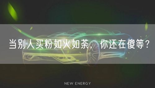 当别人买粉如火如荼，你还在傻等？