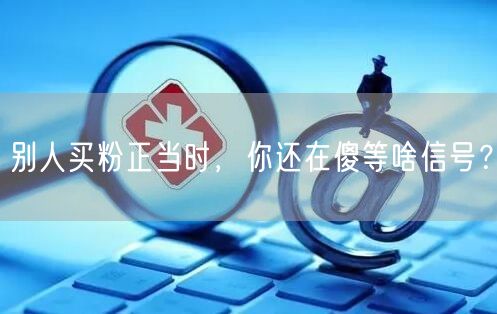 别人买粉正当时，你还在傻等啥信号？