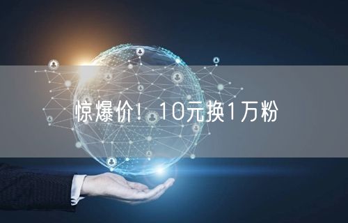 惊爆价！10元换1万粉