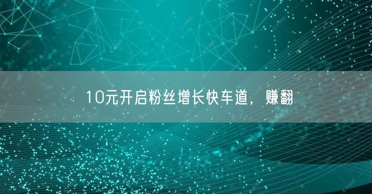 10元开启粉丝增长快车道，赚翻