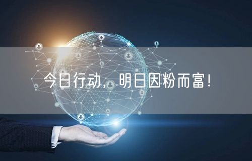 今日行动，明日因粉而富！