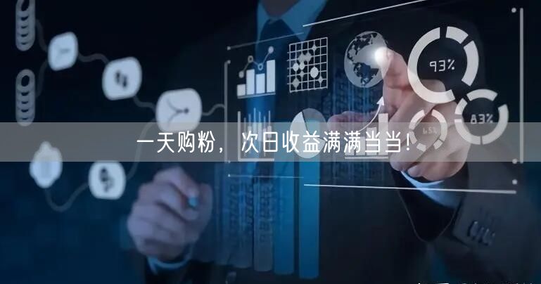 一天购粉，次日收益满满当当！