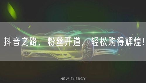 抖音之路，粉丝开道，轻松购得辉煌！