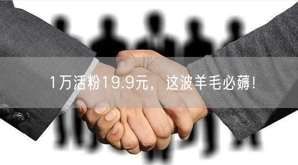 1万活粉19.9元，这波羊毛必薅！