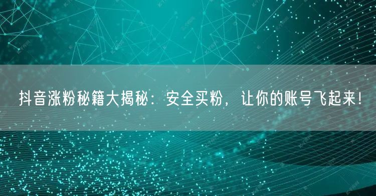抖音涨粉秘籍大揭秘：安全买粉，让你的账号飞起来！