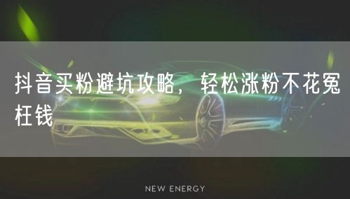 抖音买粉避坑攻略，轻松涨粉不花冤枉钱