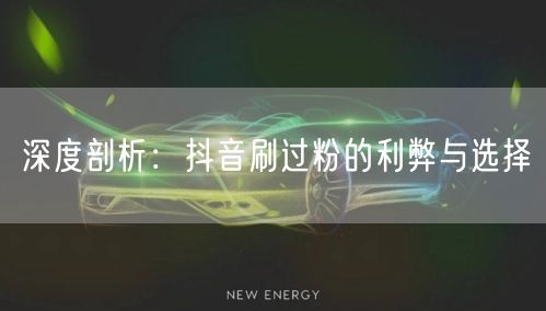深度剖析：抖音刷过粉的利弊与选择