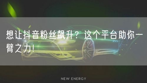 想让抖音粉丝飙升？这个平台助你一臂之力！