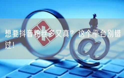 想要抖音粉丝多又真？这个平台别错过！