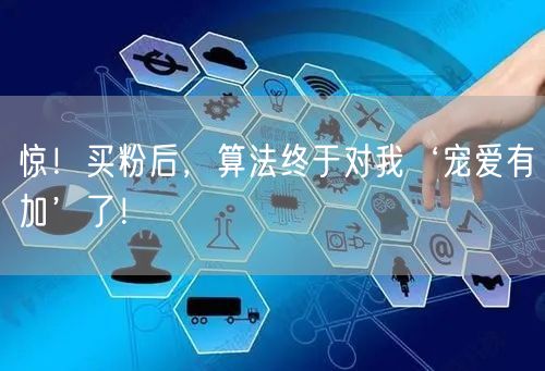 惊！买粉后，算法终于对我‘宠爱有加’了！