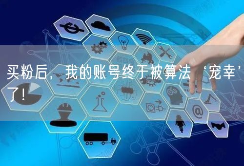 买粉后，我的账号终于被算法‘宠幸’了！