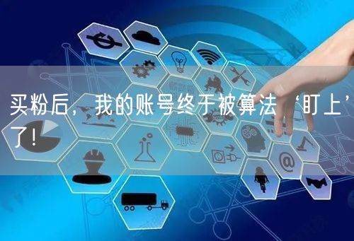 买粉后，我的账号终于被算法‘盯上’了！